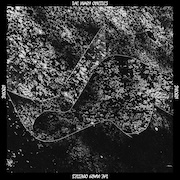 DVD/Blu-ray-Review: The Mary Onettes - Sworn